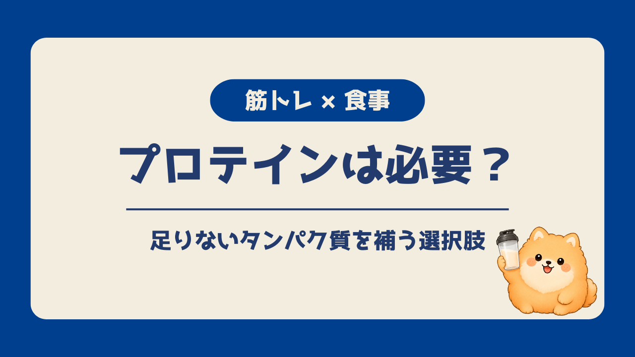 筋トレ初心者向けに、プロテインは必ず必要なのか、食事で足りないタンパク質を補う選択肢として紹介するアイキャッチ画像
