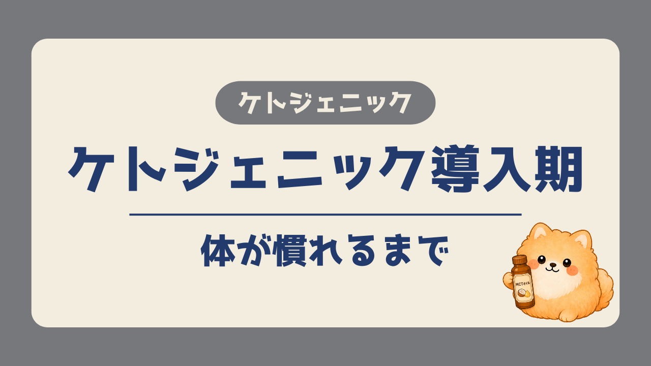 ケトジェニックの導入期に、体が慣れるまでの実体験を紹介する記事のアイキャッチ画像